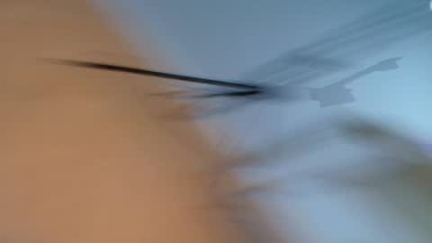 Florence Ford online show from March 2026 11:10:01 AM