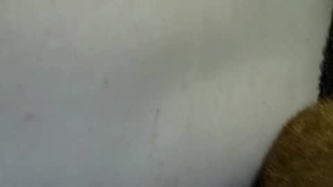 flufferbutt2 online show from April 2026 10:24:02 AM