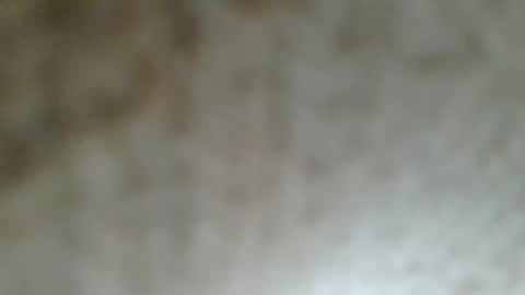 Snapshot of flyn12 chatting on February 2026 12:11:01 AM flyn12 online show from February 2026 12:11:01 AM