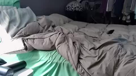 foodforcatfists online show from December 2025 04:28:02 AM