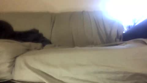 Biglongdong99 online show from April 2026 09:16:01 PM