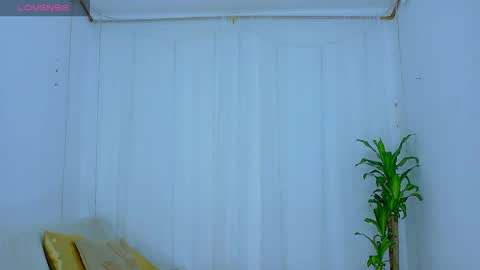 for_mycami online show from April 2026 02:05:01 AM