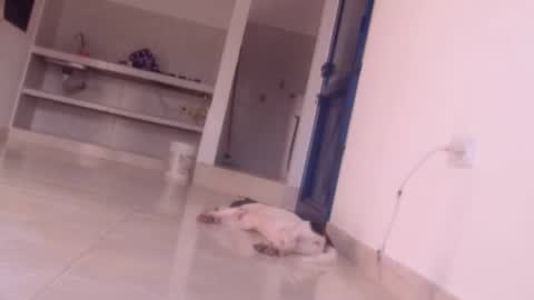 emely and felix online show from December 2024 10:05:01 PM