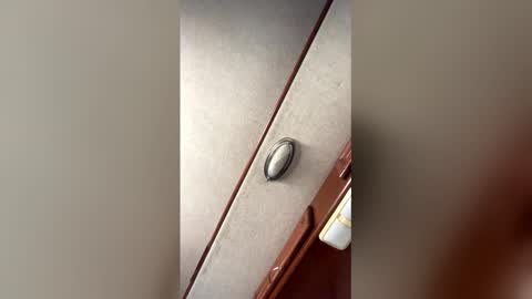 fordfocusz online show from March 2026 10:03:01 PM