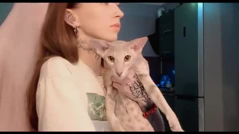 Snapshot of fran_bow chatting on October 2025 12:17:02 AM fran_bow online show from October 2025 12:17:02 AM