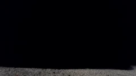 francescafey online show from March 2026 06:50:02 AM