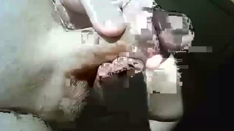 Frank online show from March 2026 10:37:01 AM