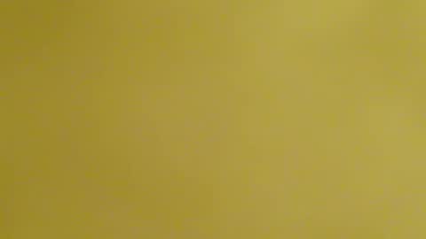 Snapshot of frankyb0yforeal chatting on February 2026 07:28:02 AM frankyb0yforeal online show from February 2026 07:28:02 AM