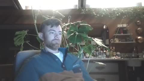 Freddy online show from January 2025 03:11:01 AM