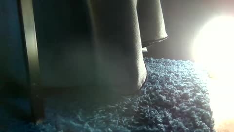 Snapshot of fredthetom12 chatting on January 2025 03:56:02 PM Greedy Fred online show from January 2025 03:56:02 PM