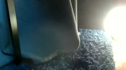 Snapshot of fredthetom12 chatting on February 2025 07:18:02 PM Greedy Fred online show from February 2025 07:18:02 PM