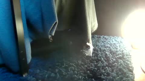 Snapshot of fredthetom12 chatting on February 2025 08:59:01 PM Greedy Fred online show from February 2025 08:59:01 PM