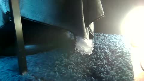 Snapshot of fredthetom12 chatting on February 2025 04:45:02 PM Greedy Fred online show from February 2025 04:45:02 PM