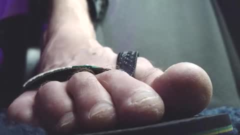 Greedy Fred online show from February 2026 02:30:01 AM