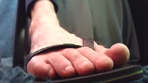 Greedy Fred online show from February 2026 06:42:01 PM