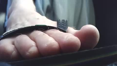 Greedy Fred online show from March 2026 03:06:01 PM