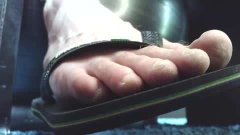 Greedy Fred online show from May 2026 02:02:01 PM