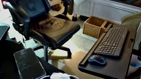 Snapshot of freespirt2 chatting on November 2025 03:08:02 AM freespirt2 online show from November 2025 03:08:02 AM