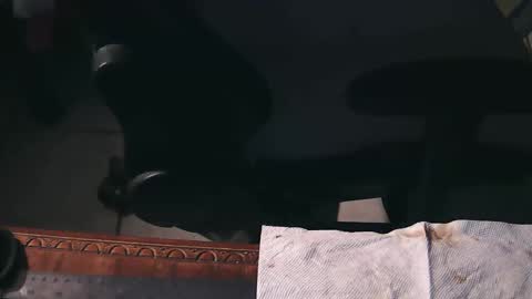 freetryal online show from November 2025 02:21:01 AM