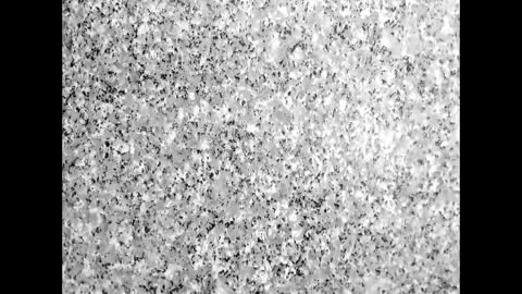 Snapshot of freiman_bigcockxx chatting on April 2026 06:56:01 PM freiman_bigcockxx online show from April 2026 06:56:01 PM