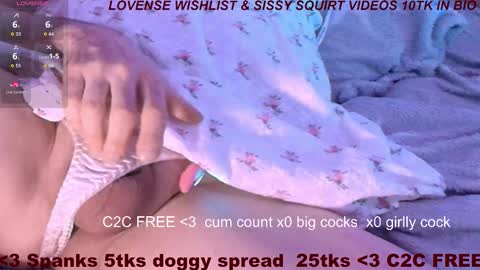 Meadow online show from February 2026 11:09:02 AM