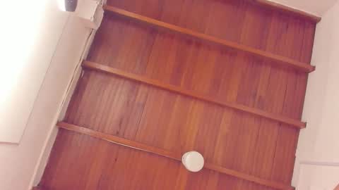  ALIS AND ALEX  online show from March 2026 08:38:01 PM