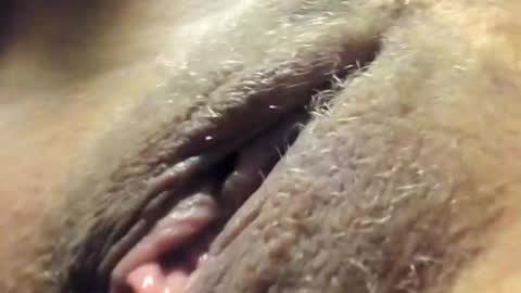 Snapshot of frumcake chatting on December 2024 12:32:02 AM FrumCake online show from December 2024 12:32:02 AM