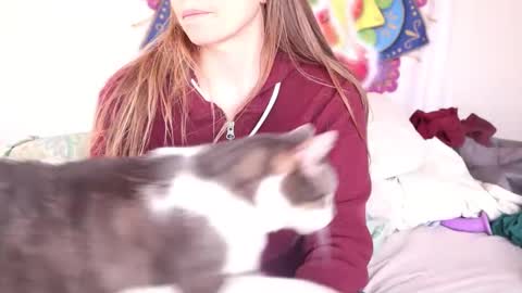 fuckmypussyplz1 online show from March 2025 03:27:01 PM