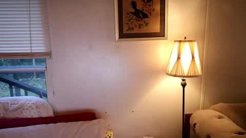 fuckmypussyplz1 online show from October 2025 01:00:02 PM