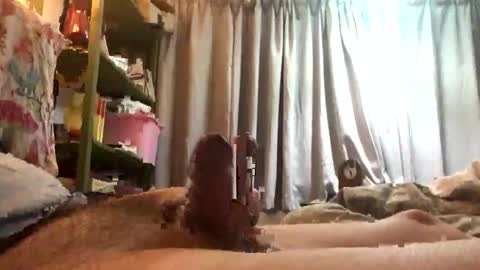 funxuriate online show from March 2026 05:53:01 AM