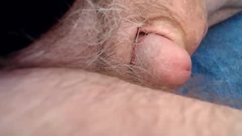 Mark online show from December 2025 10:37:02 PM