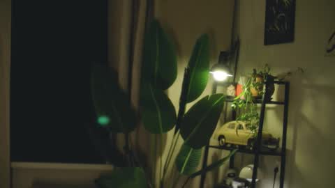 G online show from February 2026 07:24:02 PM