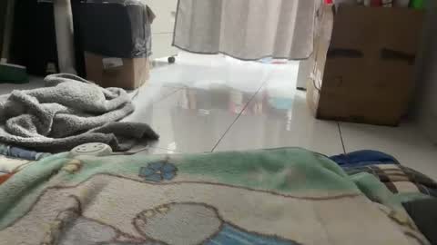 gab021593 online show from January 2026 03:38:01 PM