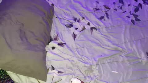 gabriel online show from March 2026 05:44:01 AM