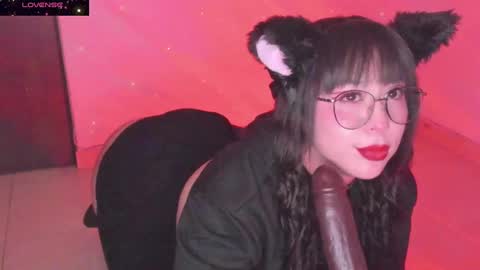 PROXIMO SHOW NOVIEMBRE 16   NEXT SHOW NOVEMBER  16    online show from December 2024 01:03:02 AM