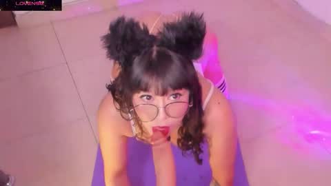 PROXIMO SHOW NOVIEMBRE 16   NEXT SHOW NOVEMBER  16    online show from November 2025 09:04:01 PM