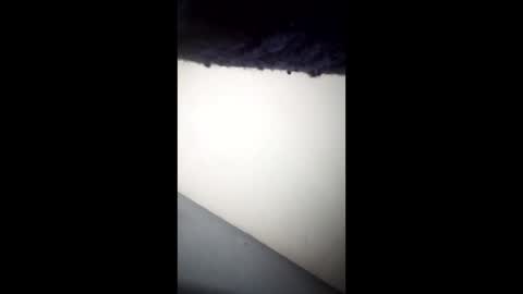 Ganis online show from April 2026 06:33:02 AM