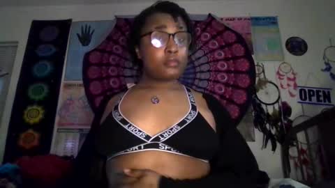 Gardenia online show from March 2026 07:55:02 AM