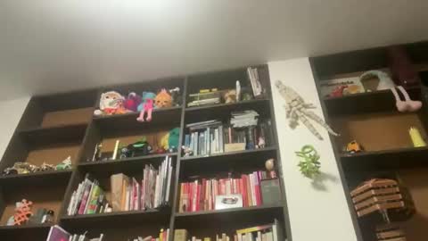 Gargoyle online show from May 2026 03:48:02 AM