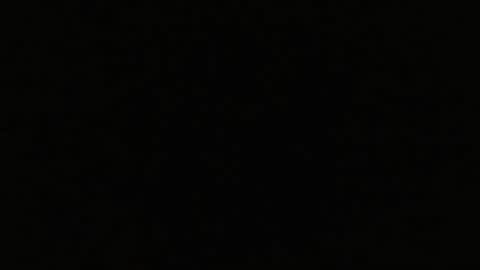 dirty dad online show from December 2024 07:59:02 AM