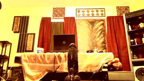 gatewaylaptop2019 online show from March 2025 02:10:02 PM