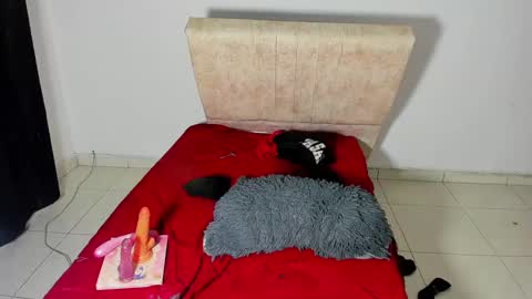 gatita13333321 online show from February 2025 01:12:02 AM