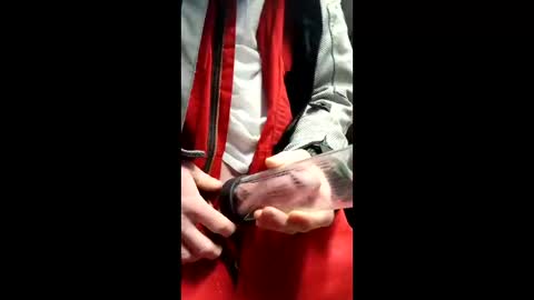 gator19037526775 online show from March 2026 02:23:02 PM