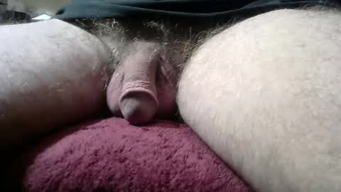 gemini_2 online show from January 2025 03:46:02 PM