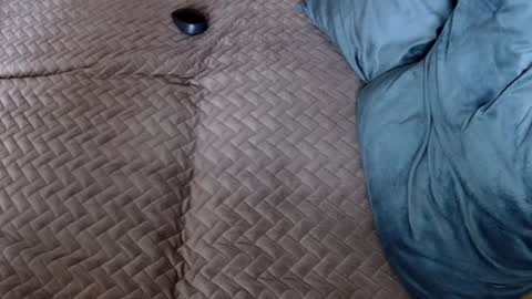 Snapshot of georgiapeachgirl chatting on November 2025 10:19:01 AM Melissa online show from November 2025 10:19:01 AM