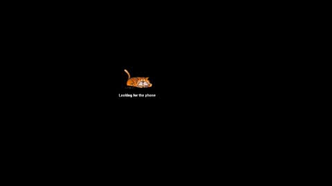 georgie______ online show from July 2026 02:48:02 AM