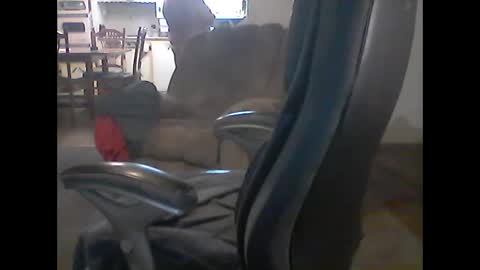 Snapshot of gerabo chatting on March 2025 04:05:02 AM gerabo online show from March 2025 04:05:02 AM