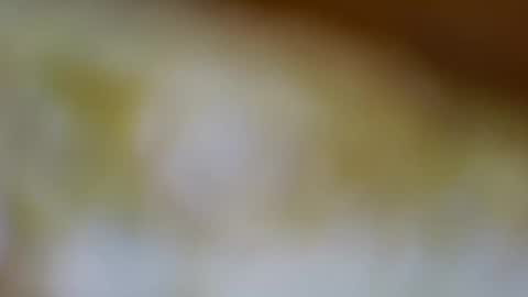 germanandy71 online show from November 2025 09:20:01 AM