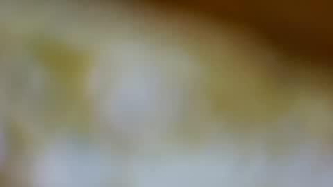 germanandy71 online show from November 2025 09:10:01 AM