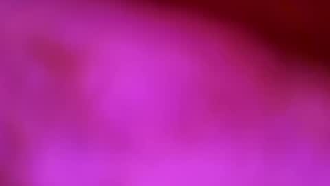 germanandy71 online show from December 2025 08:52:01 AM